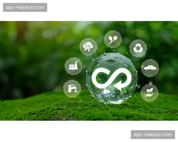 大型赛事碳中和评价准则在现阶段确立 引领行业绿色转型发展